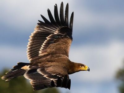 Personas y empresa (III) – Los perfiles&nbsp;necesarios